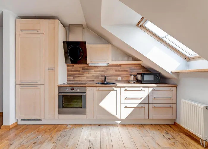 Charming Loft In Vilnius Oldtown